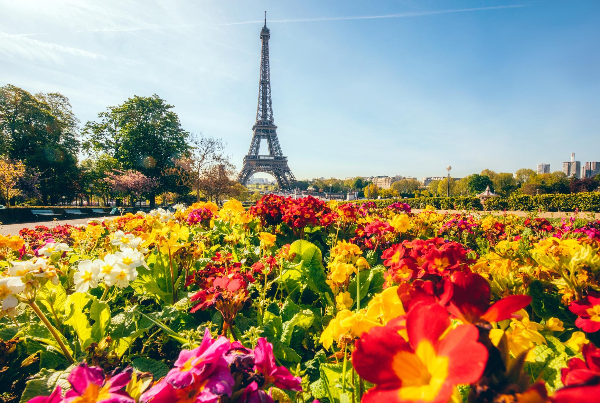 Eyfel Kulesi önünde rengârenk çiçekler, Paris